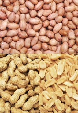 Groundnuts/Peanuts